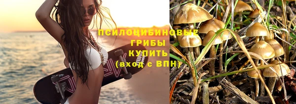 трава Абаза
